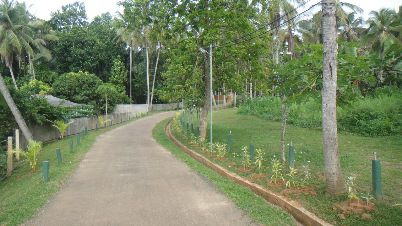 Ma Oya Retreat Pinnawala Pinnawala (Kegalle) Exterior foto